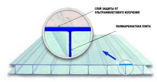 0137c9f6319a6ea1e8a3c7cf721b0358_500_0_0